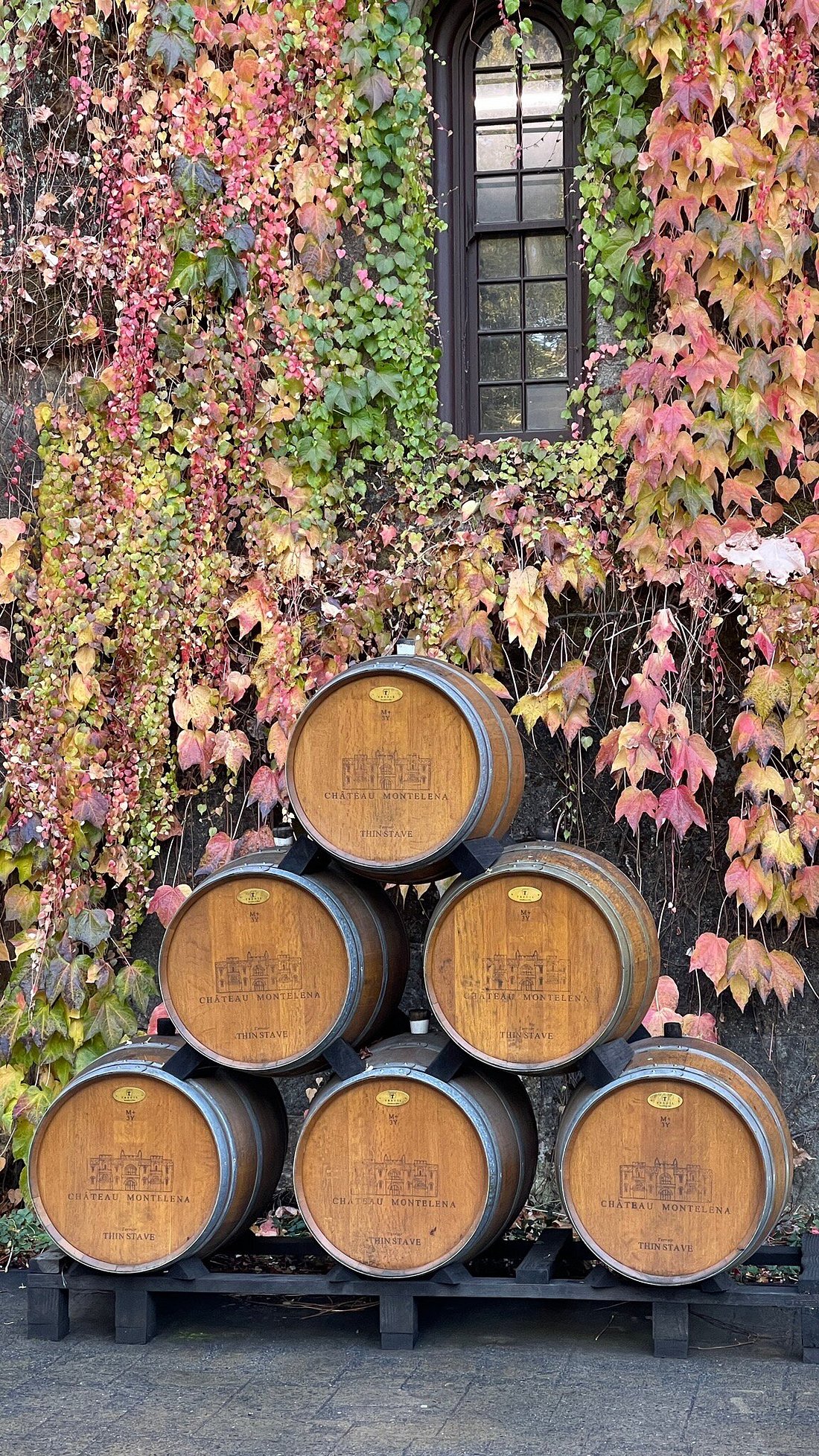 In Chateau Montelena: Everything Exceeded My Expectaitons