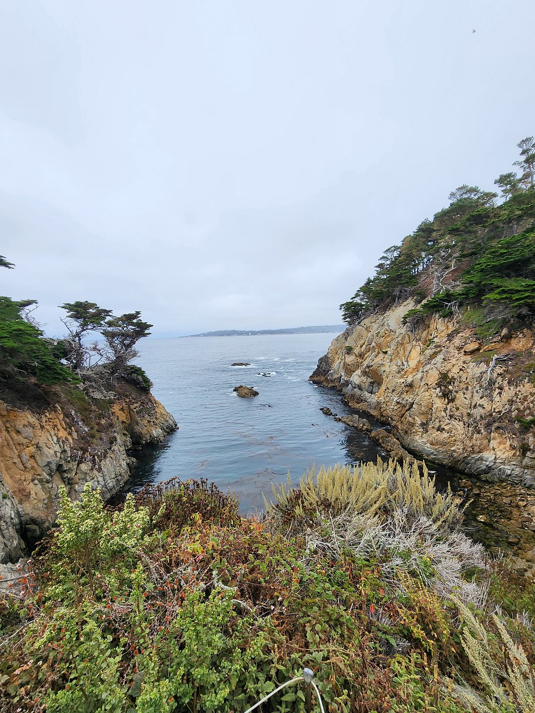 Point Lobos Nature Walk: Great Hike with a Great Guide!