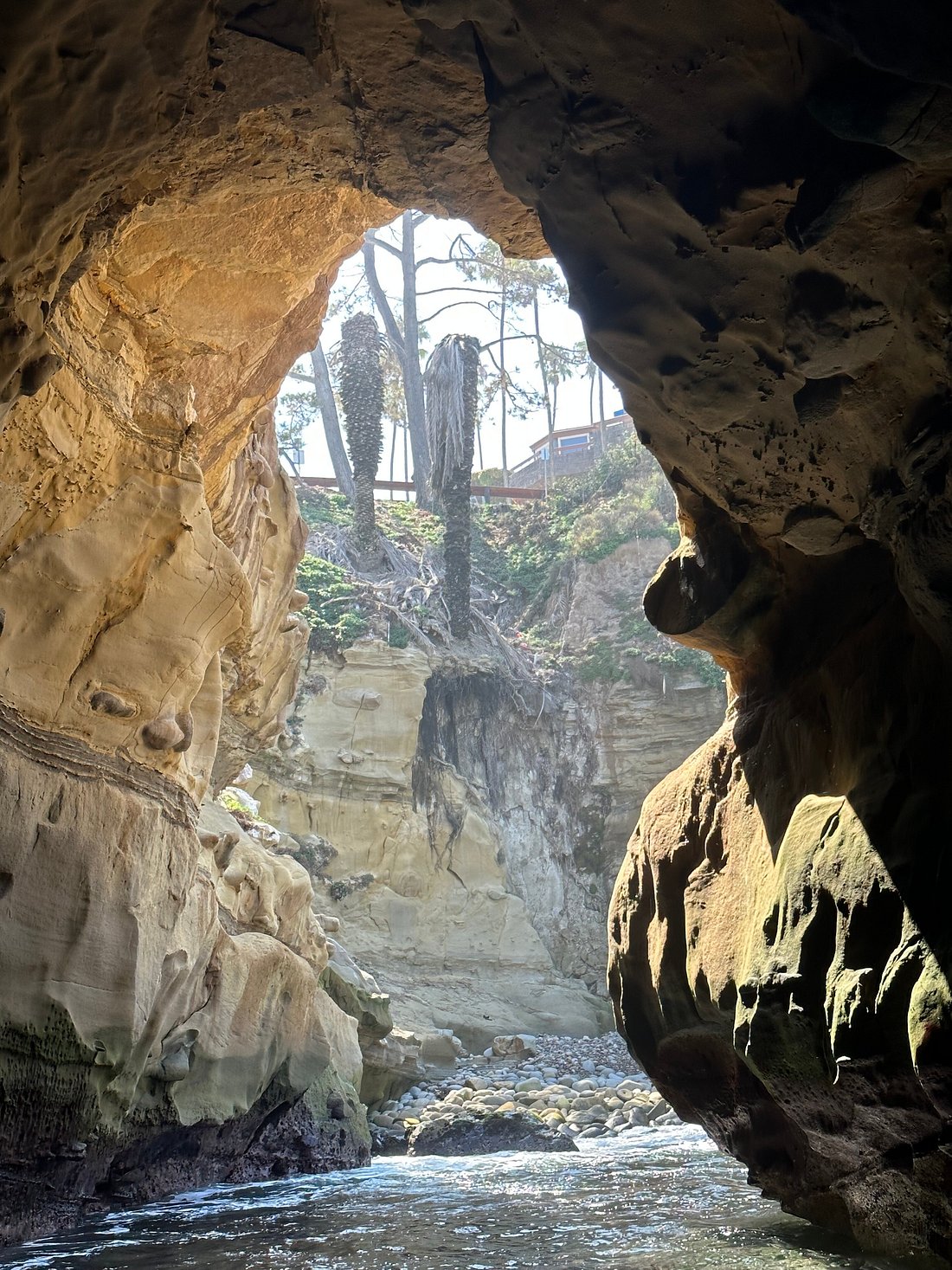 Superb Kayak Tour in La Jolla