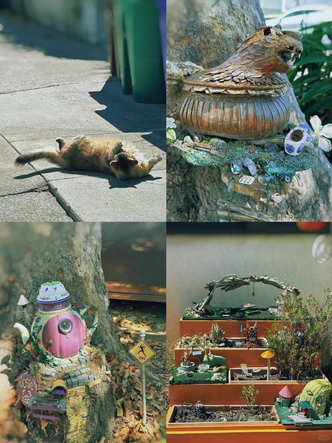 Exploring the Enchanting Fairy House Walk in the Bay Area 🏡🧚‍♂️