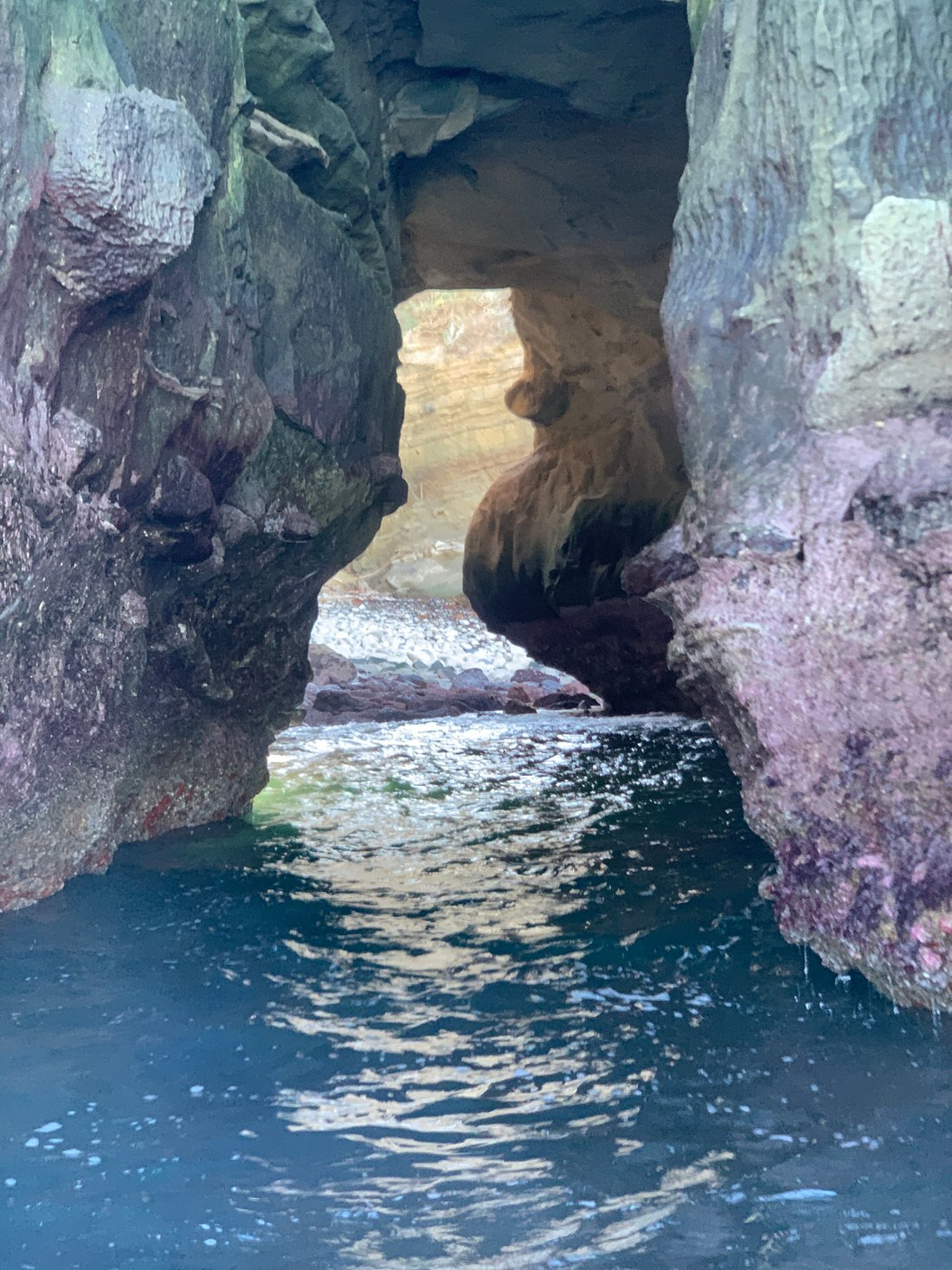 Superb Kayak Tour in La Jolla