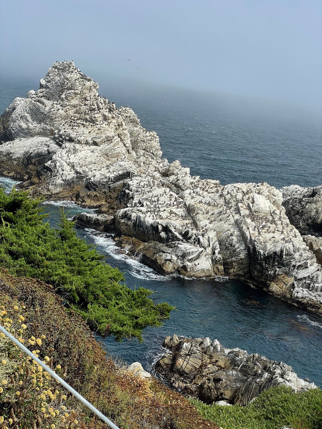 Point Lobos Nature Walk: Great Hike with a Great Guide!