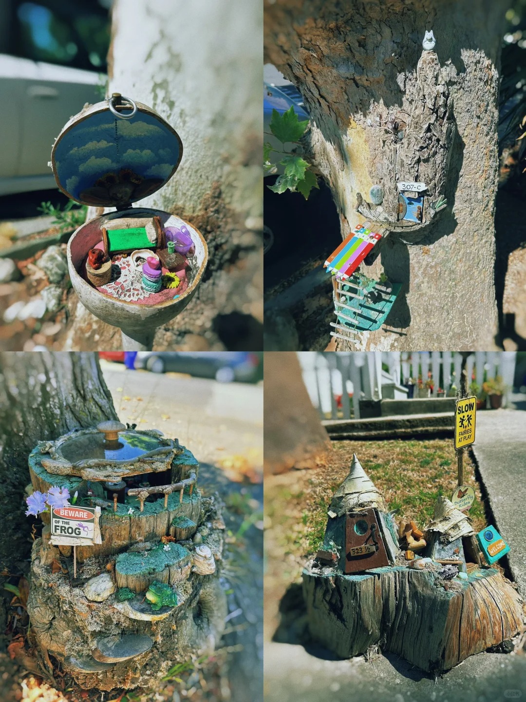 Exploring the Enchanting Fairy House Walk in the Bay Area 🏡🧚‍♂️
