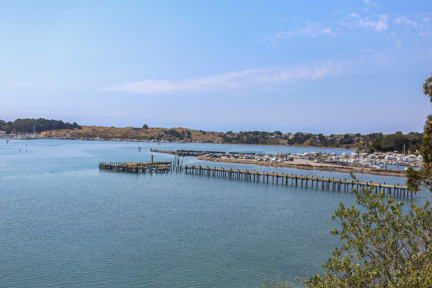Bodega Bay Family Travel Guide – Kid-Friendly Things To Do