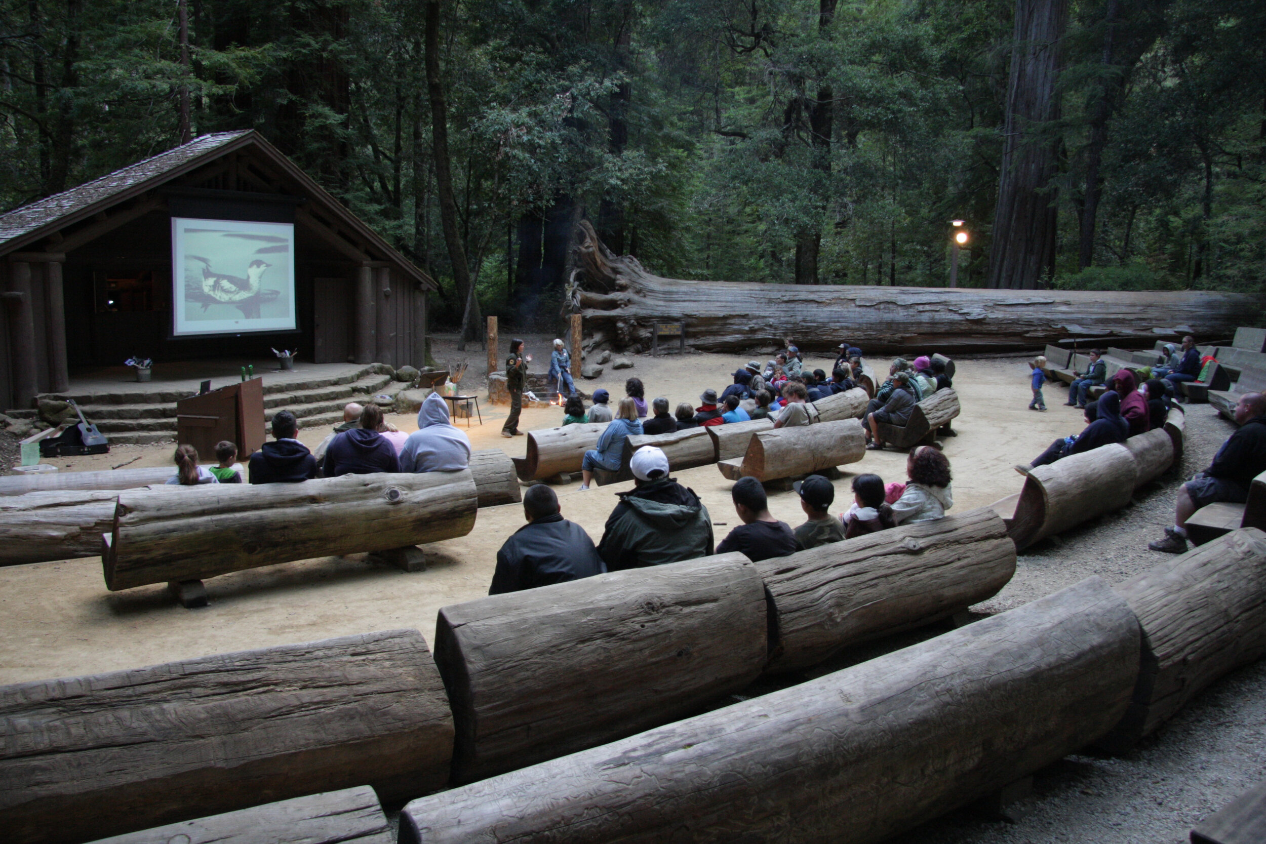 Big Basin Hiking – How To Enjoy an Amazing Redwood Trail