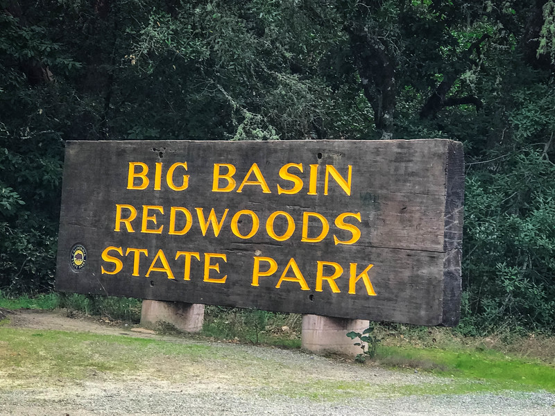 Big Basin Hiking – How To Enjoy an Amazing Redwood Trail
