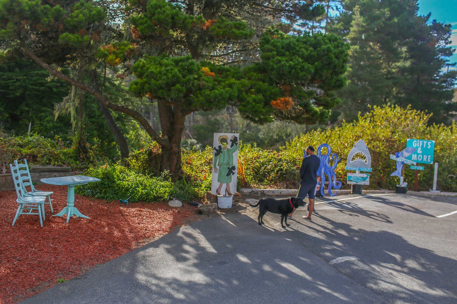 Bodega Bay Family Travel Guide – Kid-Friendly Things To Do
