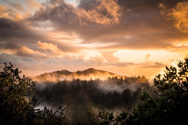 Are You Still Looking For Unique Bay Area Glamping in Northern California?