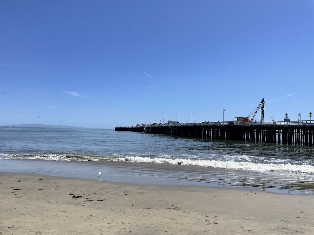 Santa Cruz Beach Boardwalk and Wharf, Don’t Miss It