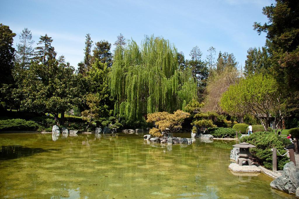5 Top Things to Do in Kelley Park, San Jose