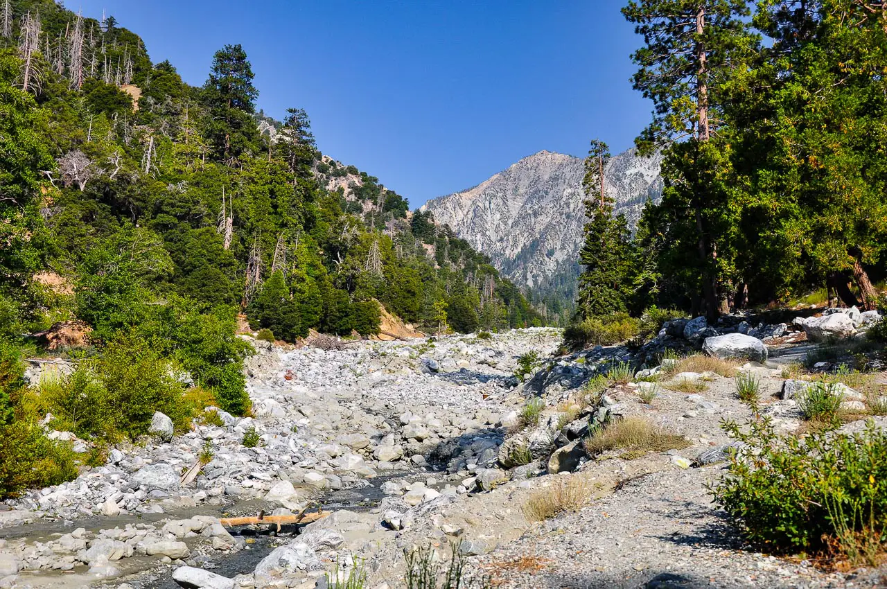 Summit Serenity: Your Comprehensive San Gorgonio Wilderness Hiking Guide