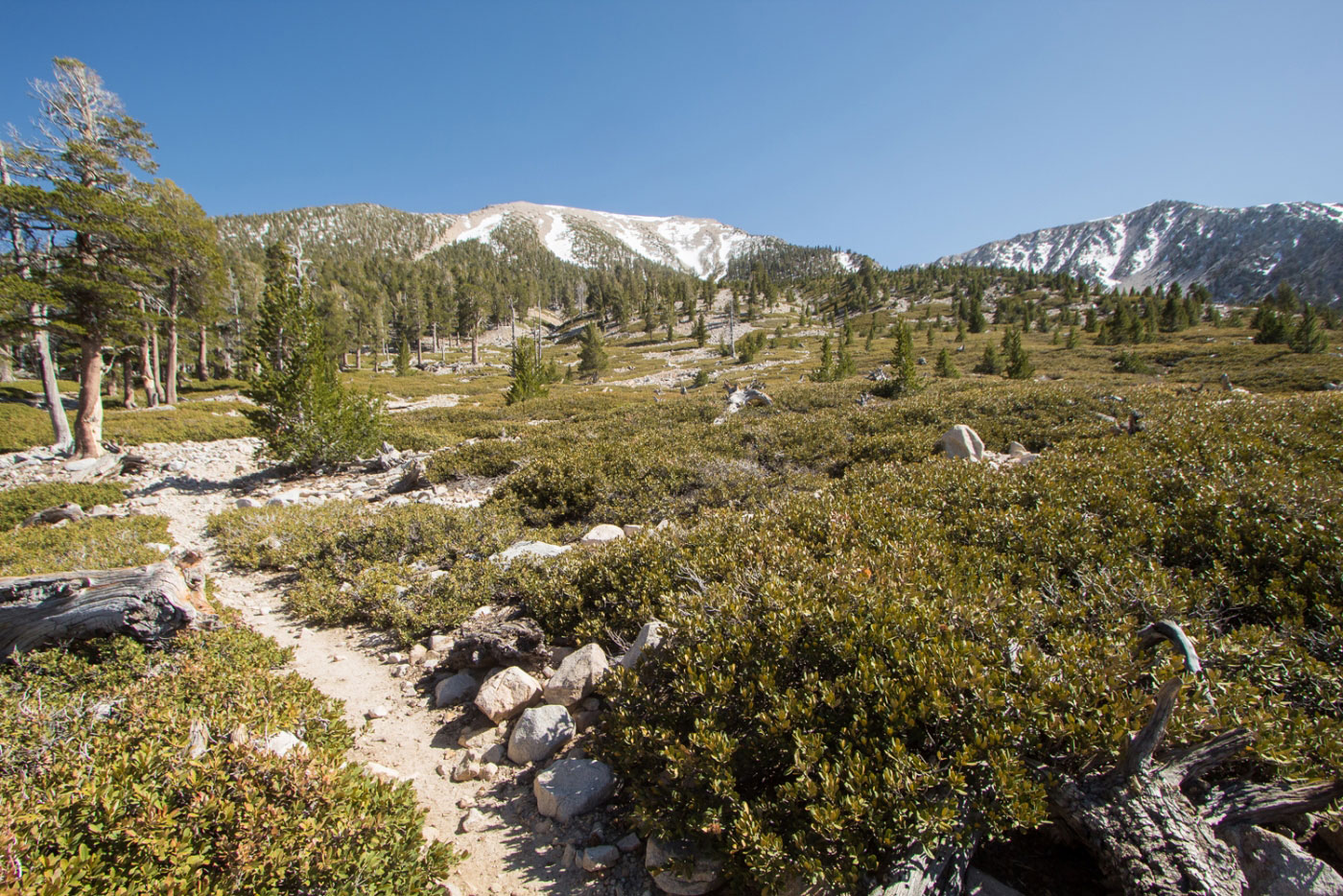 Summit Serenity: Your Comprehensive San Gorgonio Wilderness Hiking Guide