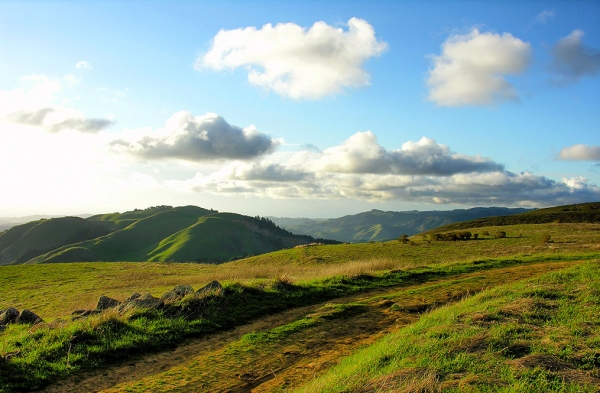 7 Hiking Trails in San Jose and Silicon Valley