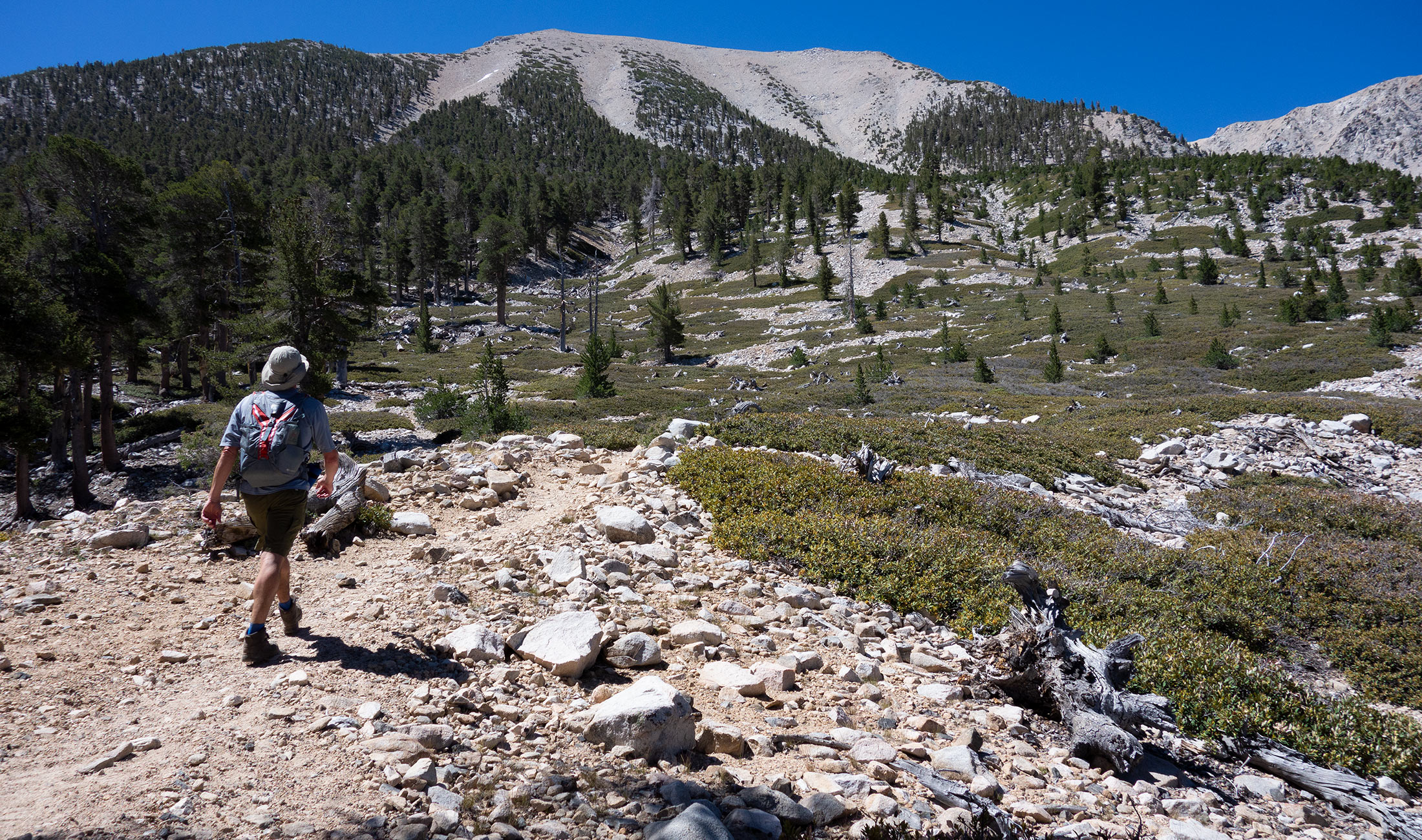 Summit Serenity: Your Comprehensive San Gorgonio Wilderness Hiking Guide