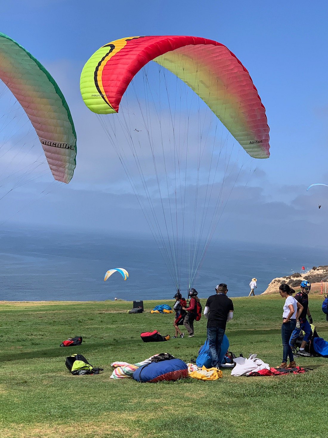 Torrey Pines Gliderport: A Scenic Site to Soar Over San Diego