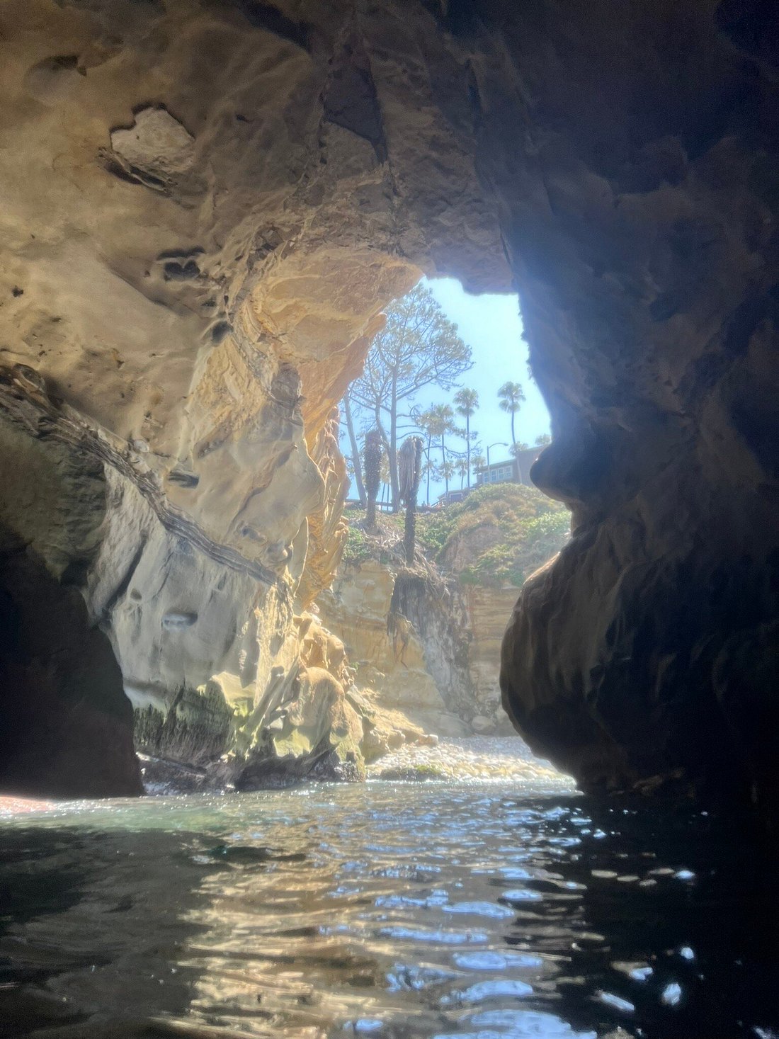 Snorkeling in La Jolla Cove: A Splendid Underwater Adventure!