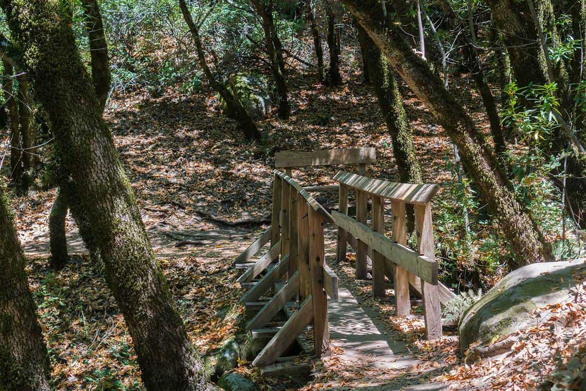 Castle Rock State Park: Hiking Adventures!