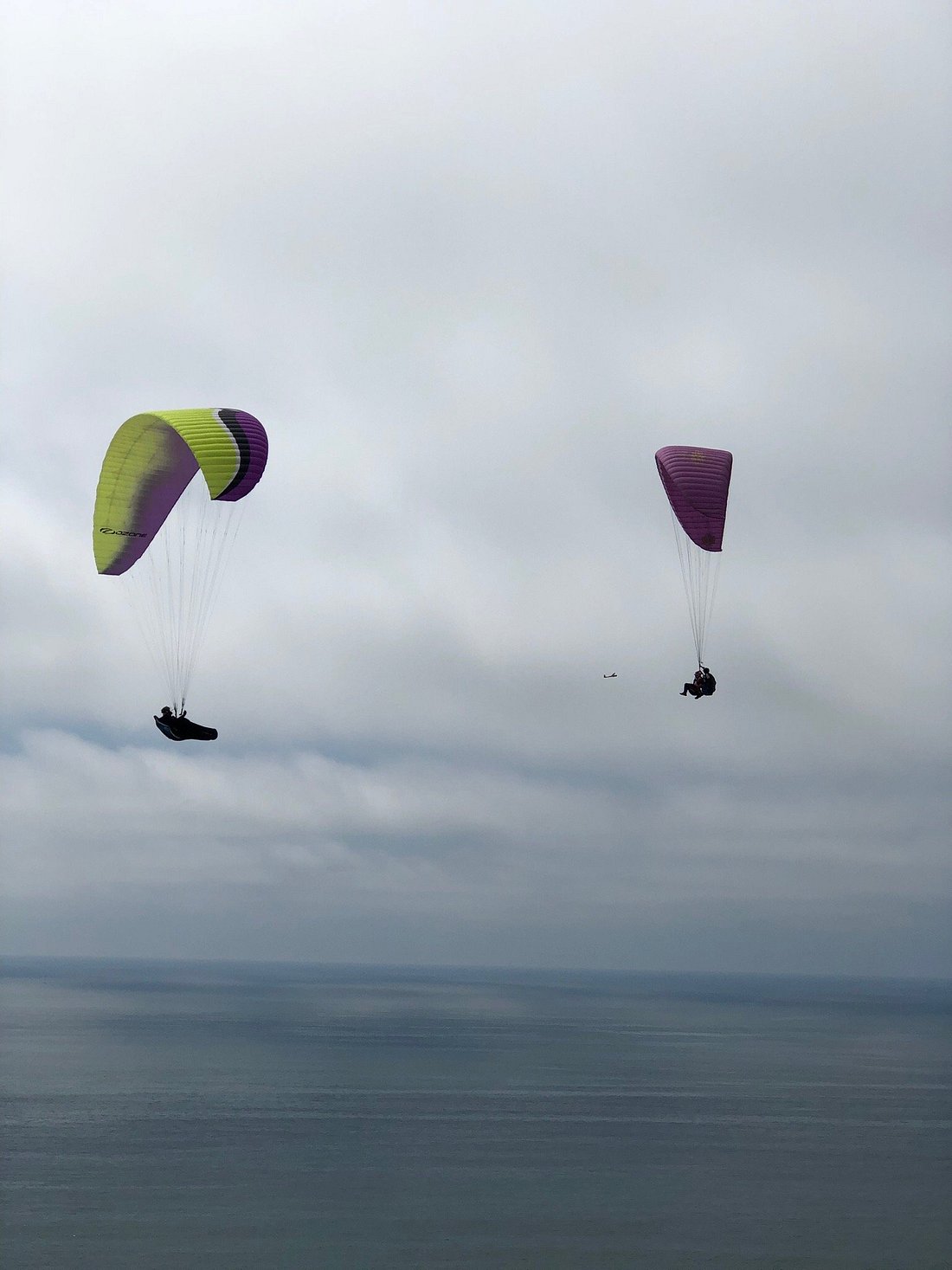 Torrey Pines Gliderport: A Scenic Site to Soar Over San Diego