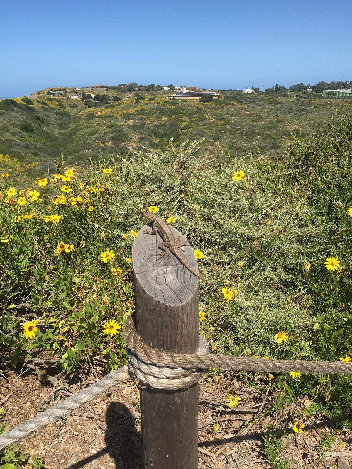 Cabrillo National Monument: A Taste of History and Beauty