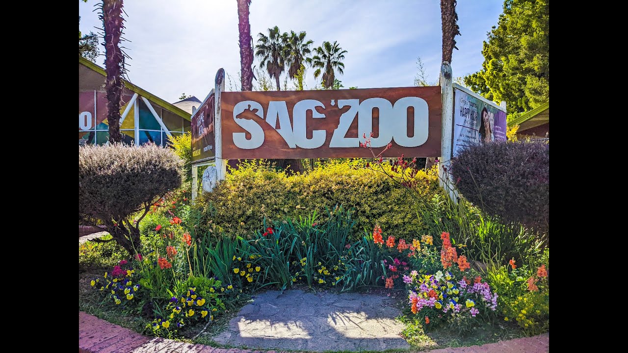 Experience the Joy of Travel on a Road Trip From San Francisco to Sacramento