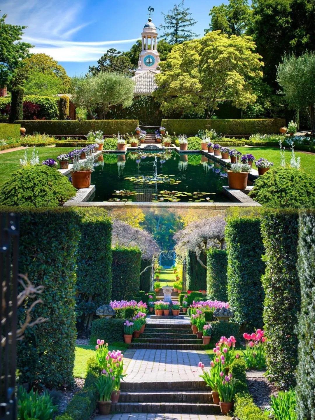 Exploring the Bay Area | Unveiling Five Hidden Gems You've Never Heard Of