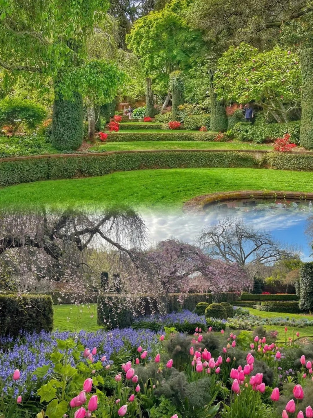 Exploring the Bay Area | Unveiling Five Hidden Gems You've Never Heard Of
