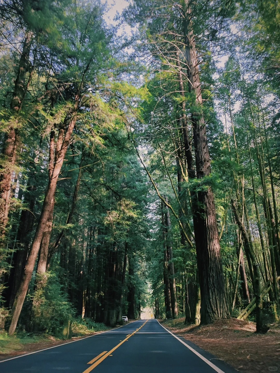 Northern California Road Trip to the Charming Seaside Town of Mendocino 💙