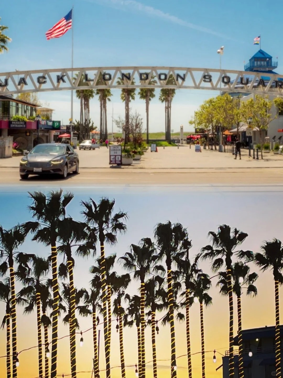 Exploring the Bay Area | Unveiling Five Hidden Gems You've Never Heard Of