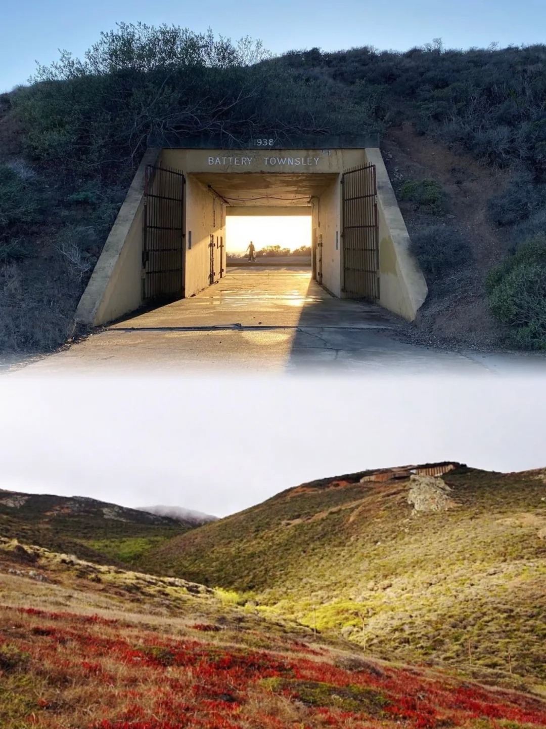 Exploring the Bay Area | Unveiling Five Hidden Gems You've Never Heard Of