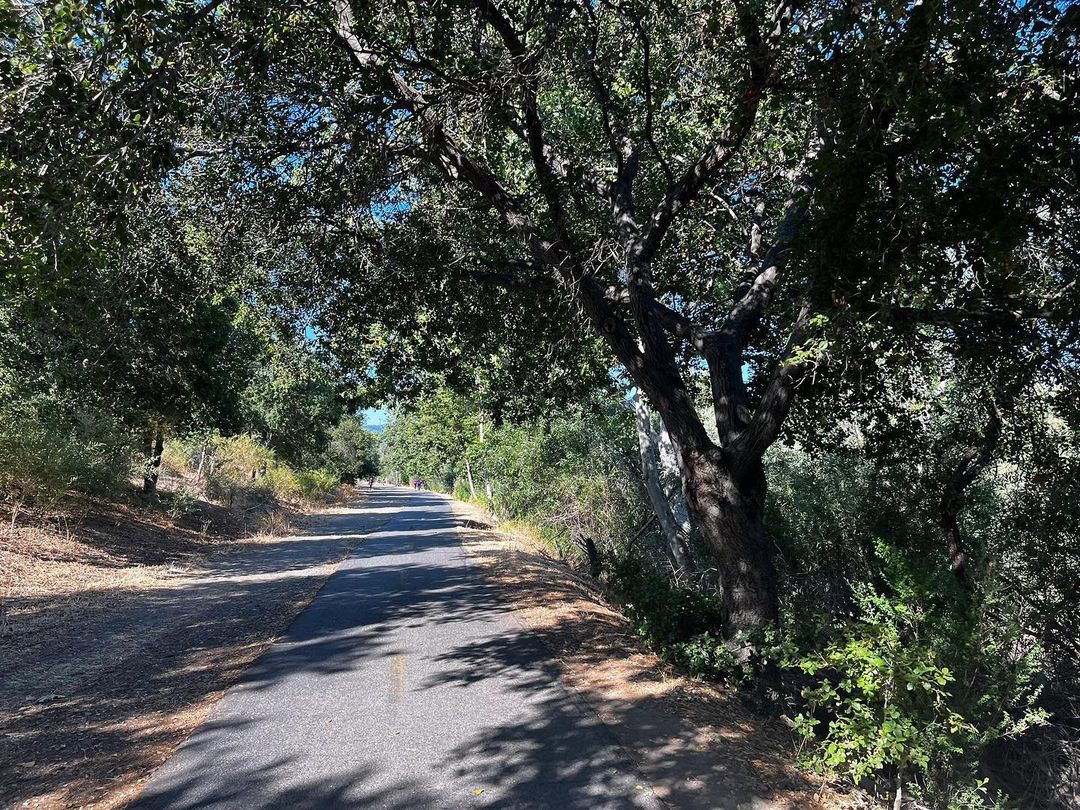 Los Gatos Creek Trail: Bay Area Running/Biking Route