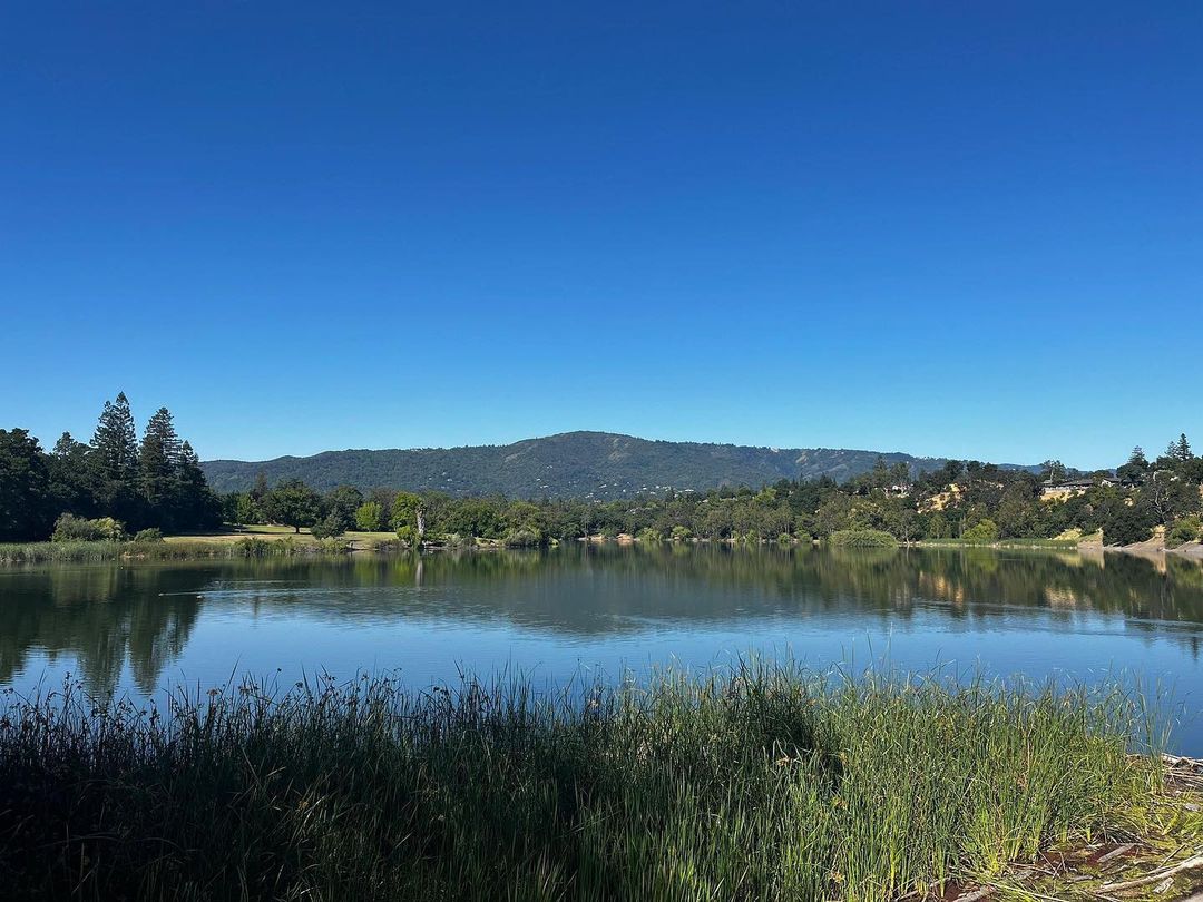 Los Gatos Creek Trail: Bay Area Running/Biking Route