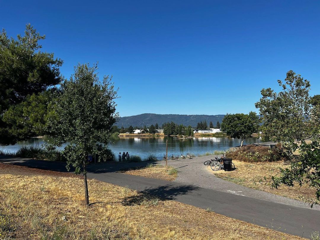 Los Gatos Creek Trail: Bay Area Running/Biking Route