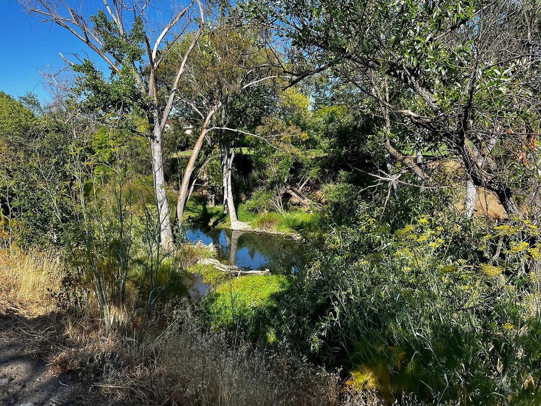 Los Gatos Creek Trail: Bay Area Running/Biking Route
