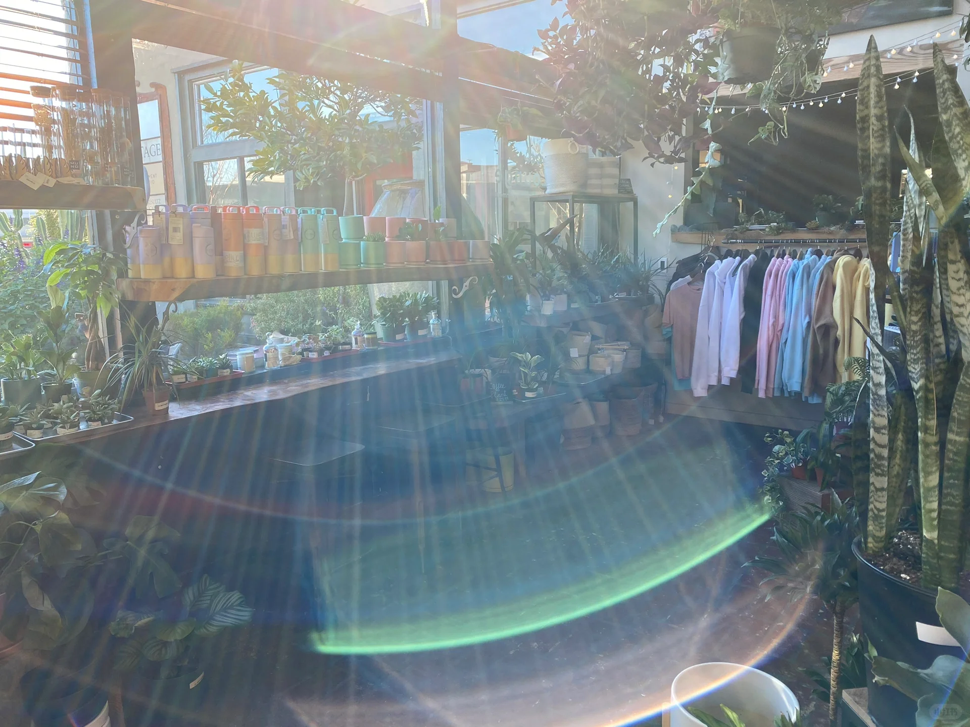 I went on a day trip to Santa Cruz again and again in the Bay Area weekend.