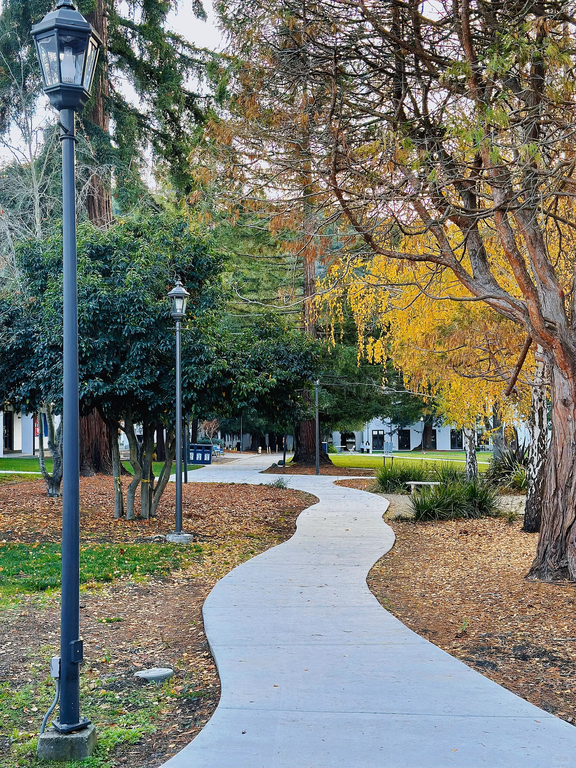 Bay Area Strolling: Saint Mary's Women's College Hidden in the Deep Mountains