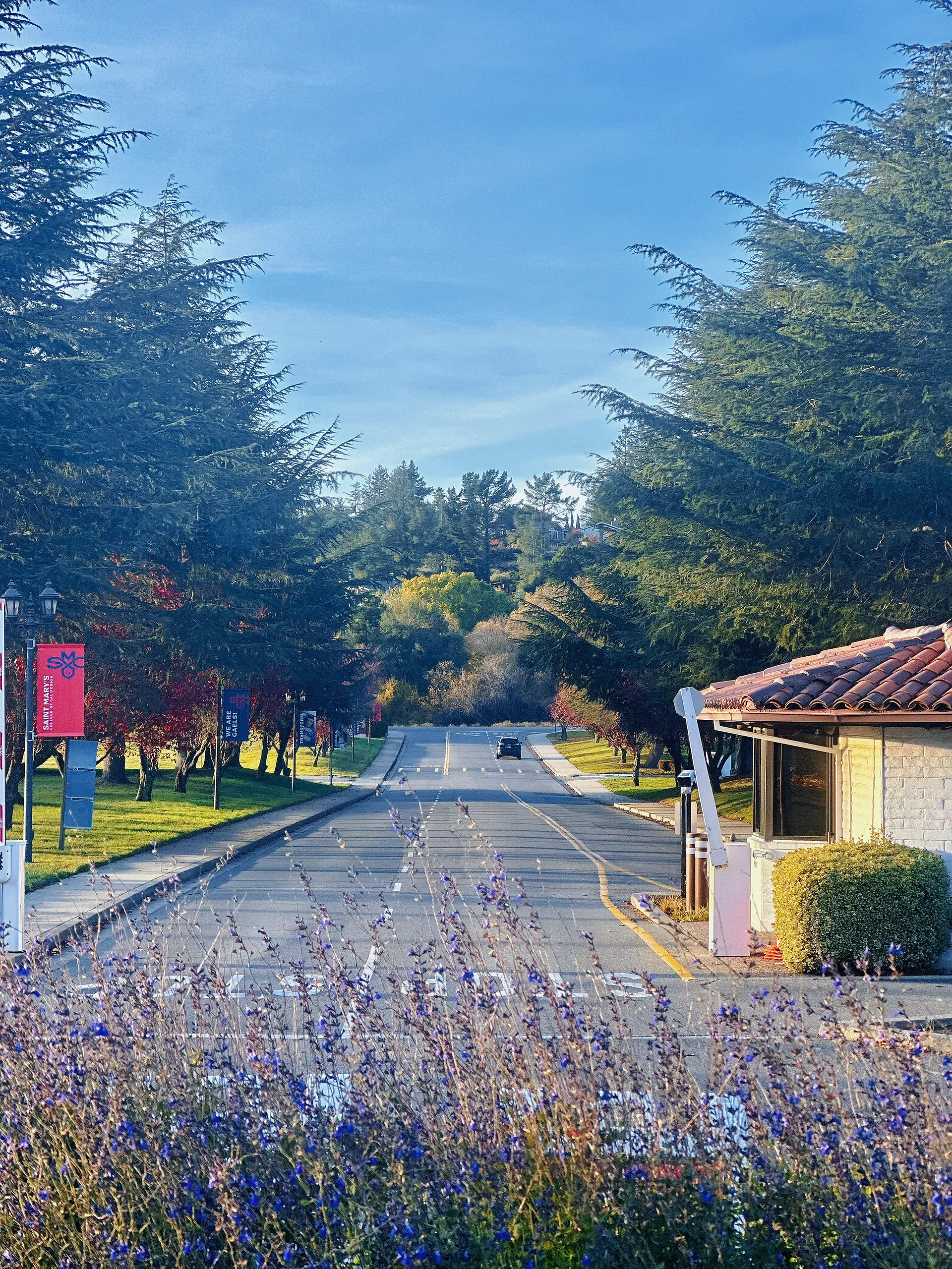 Bay Area Strolling: Saint Mary's Women's College Hidden in the Deep Mountains