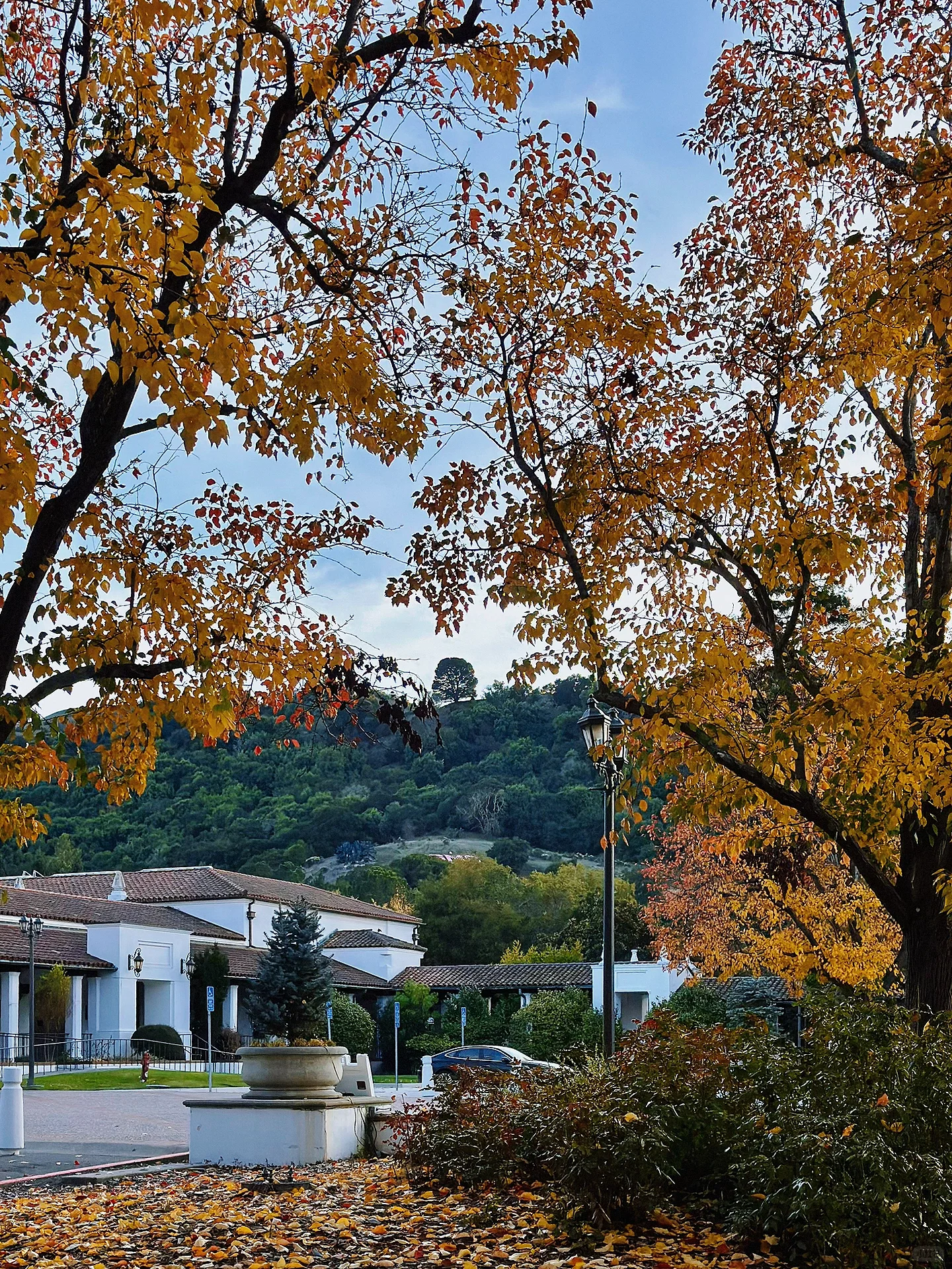 Bay Area Strolling: Saint Mary's Women's College Hidden in the Deep Mountains