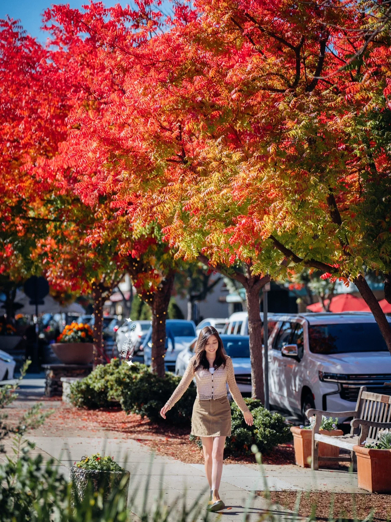 A Walk in the Bay Area in Autumn 🍂 Another Year of Fall Foliage Season 🌳
