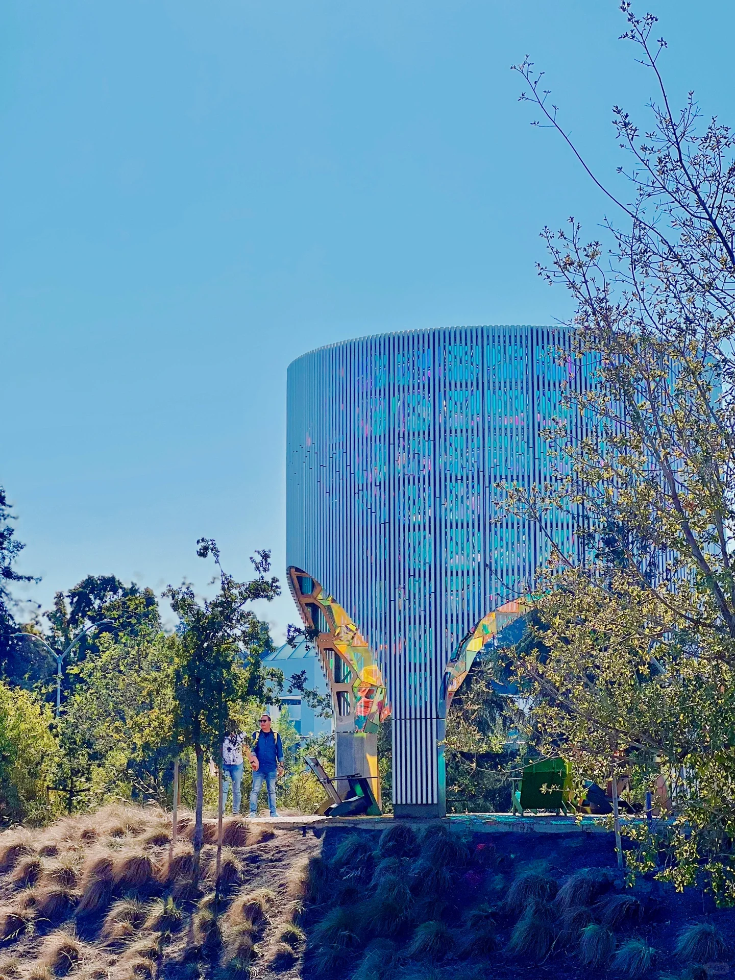 Bay Area Weekend | Google Visitor Center