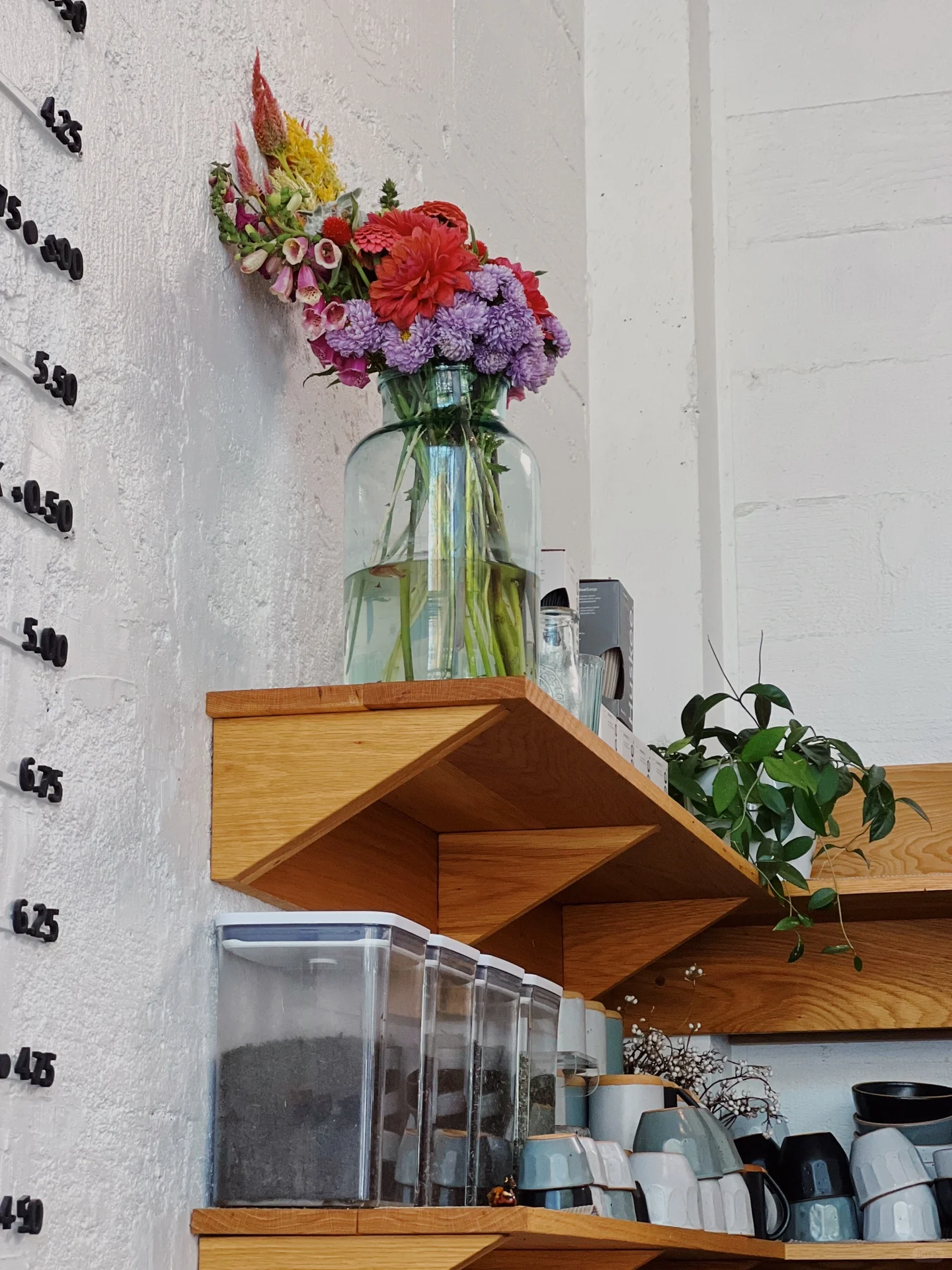 Bay Area Life | Backhaus