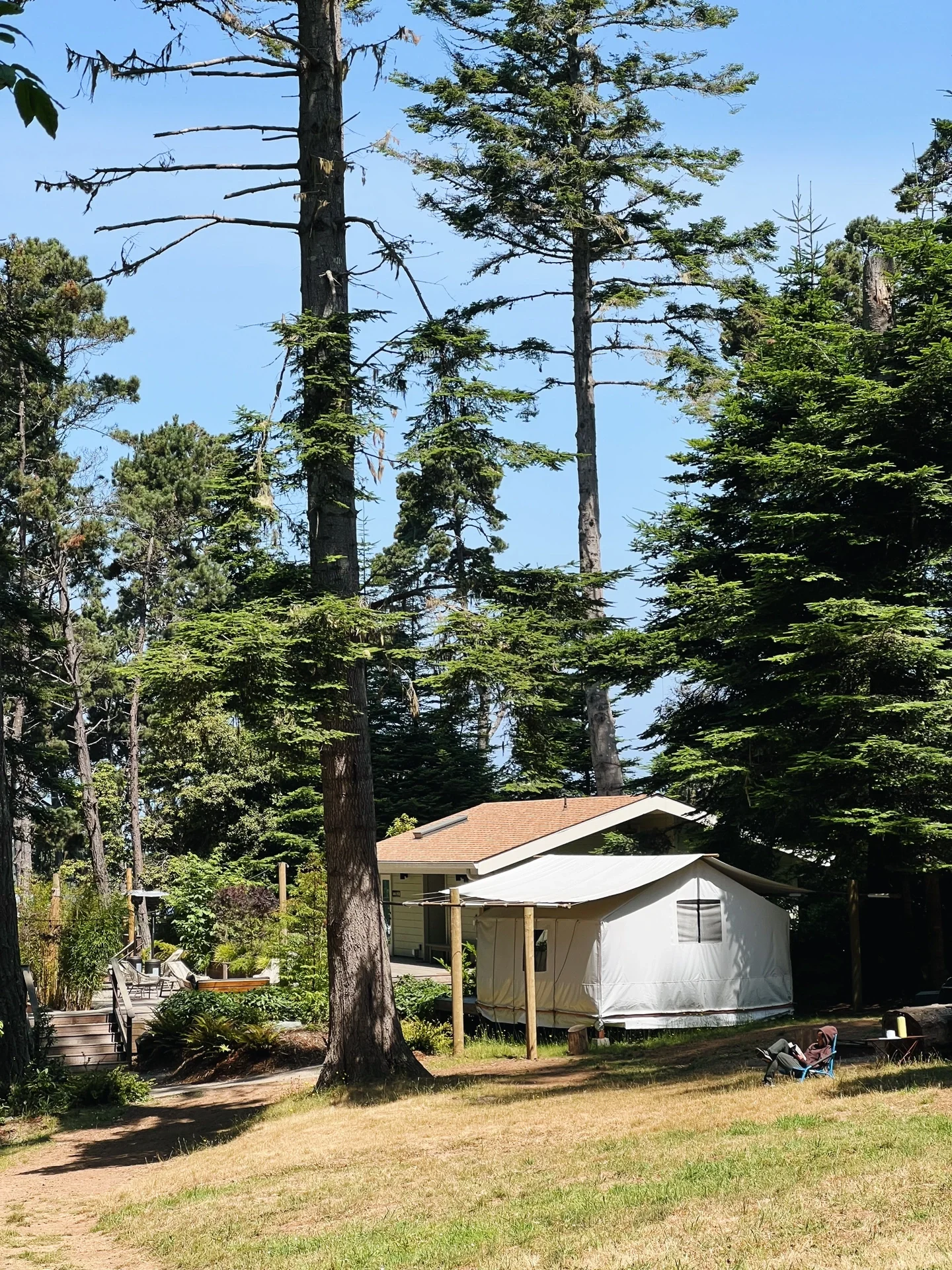 North California | Relax for Three Days in a Luxurious Forest Coast Camping 🏕️