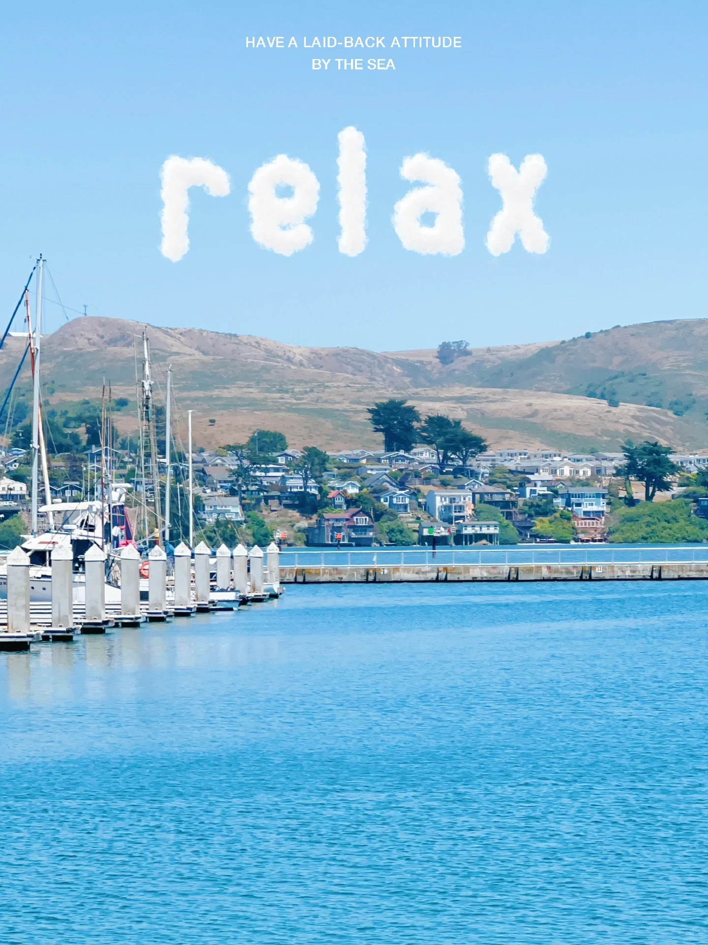 California | Clam Chowder Waves 🌊