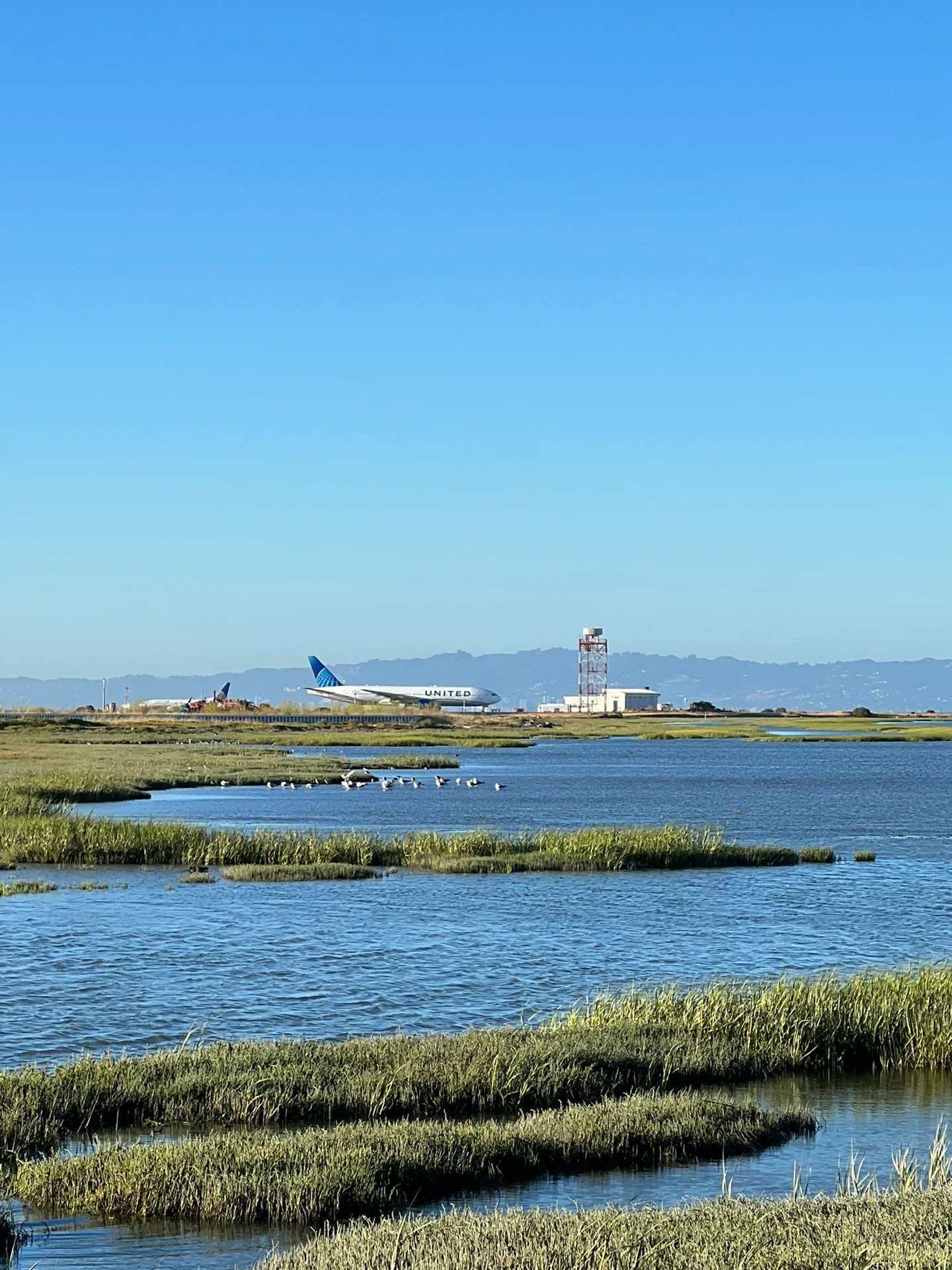 San Francisco | Watching planes take off and land is my healing moment. ✈️