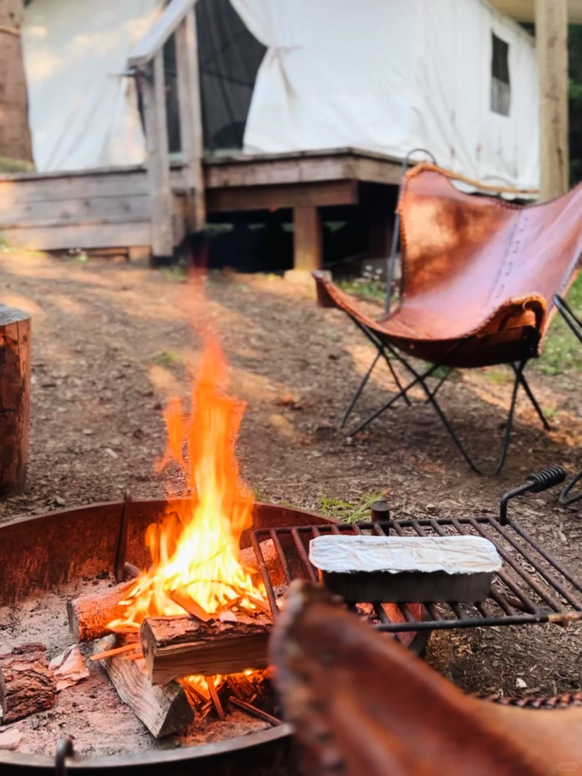 North California | Relax for Three Days in a Luxurious Forest Coast Camping 🏕️