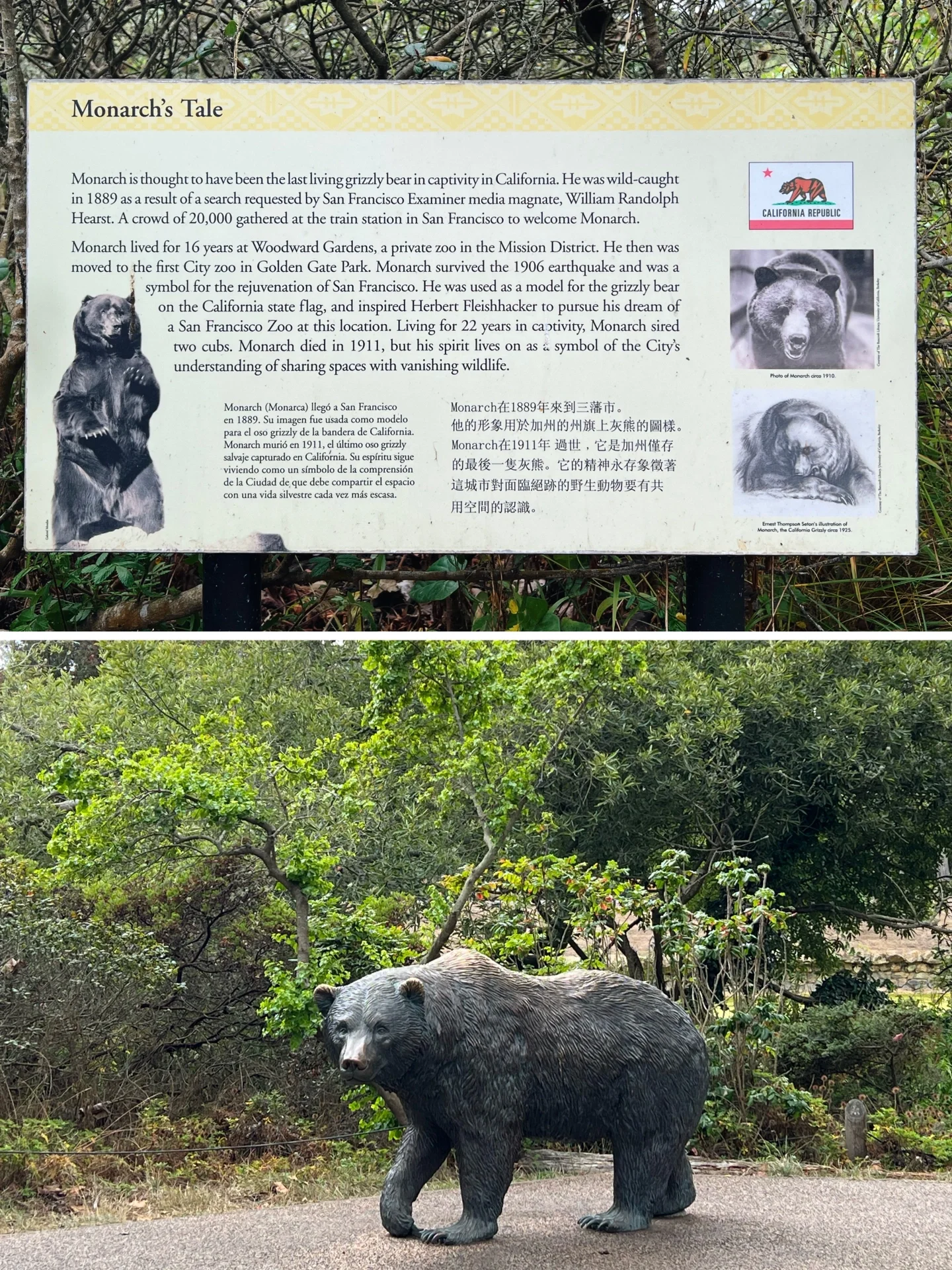 Why does the California state flag have a bear 🐻 in San Francisco? Pixar panda 🐼!