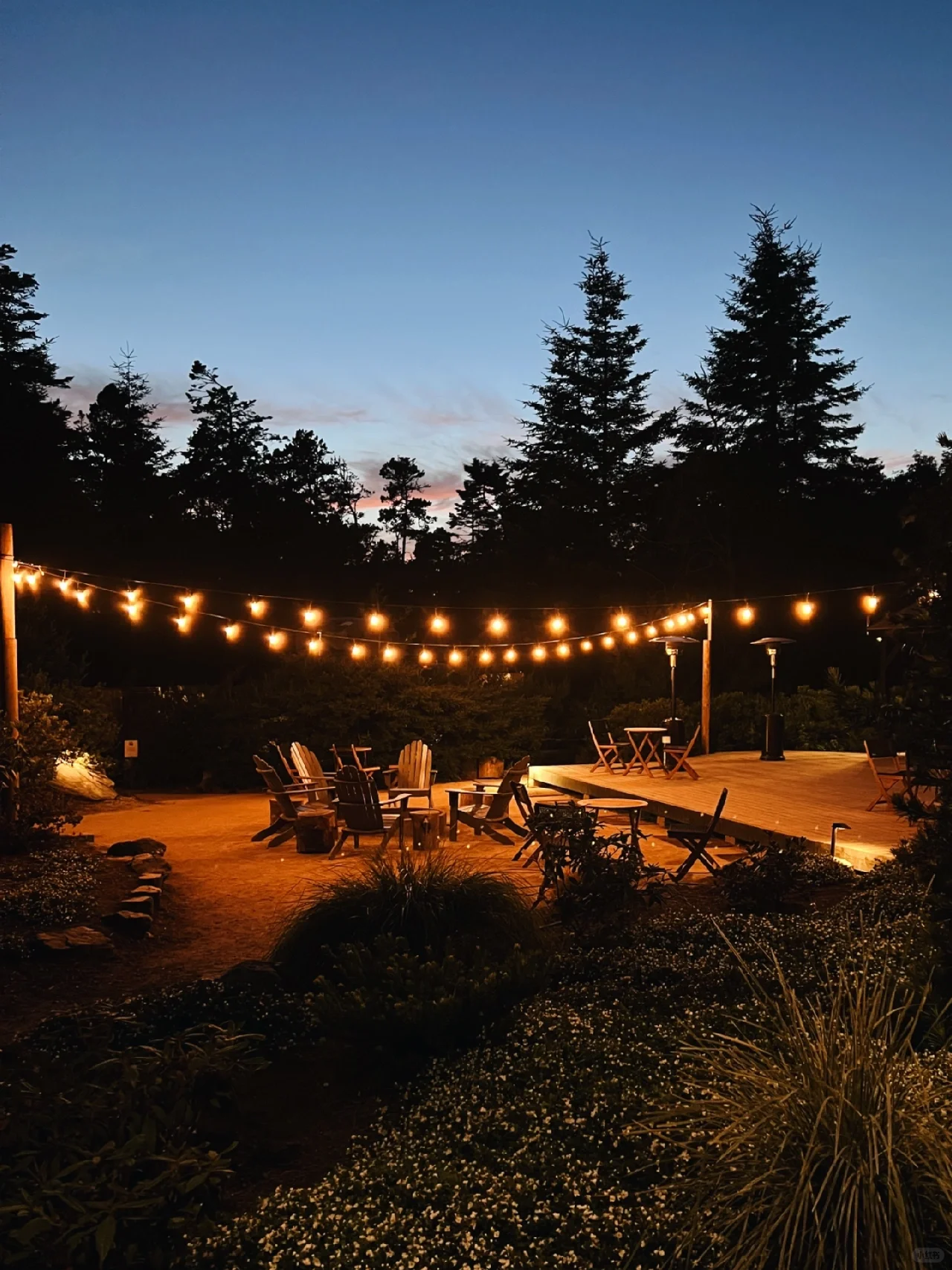 North California | Relax for Three Days in a Luxurious Forest Coast Camping 🏕️