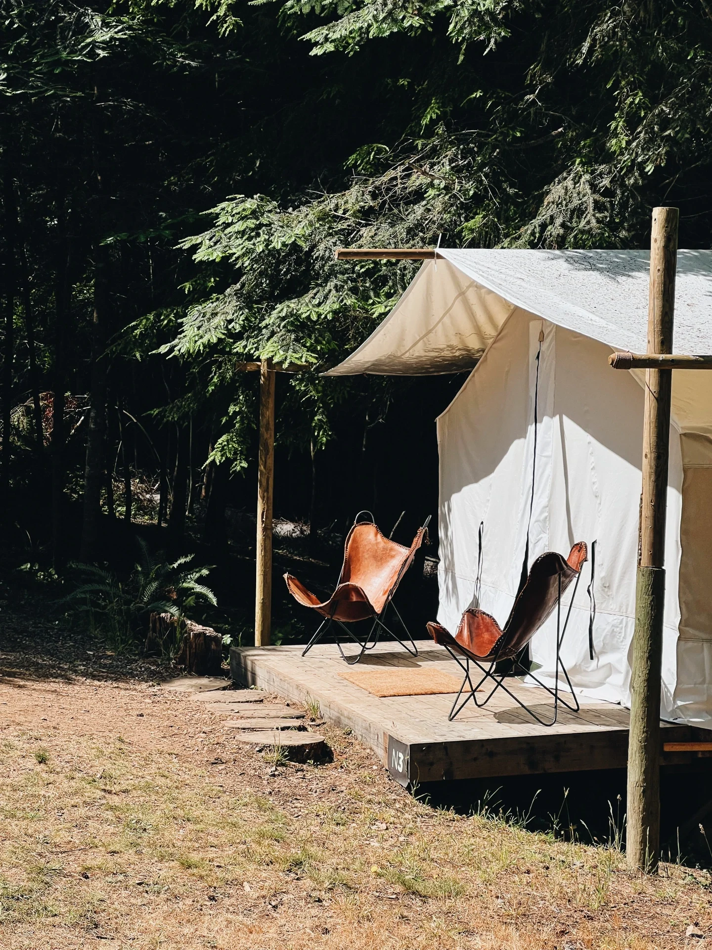 North California | Relax for Three Days in a Luxurious Forest Coast Camping 🏕️