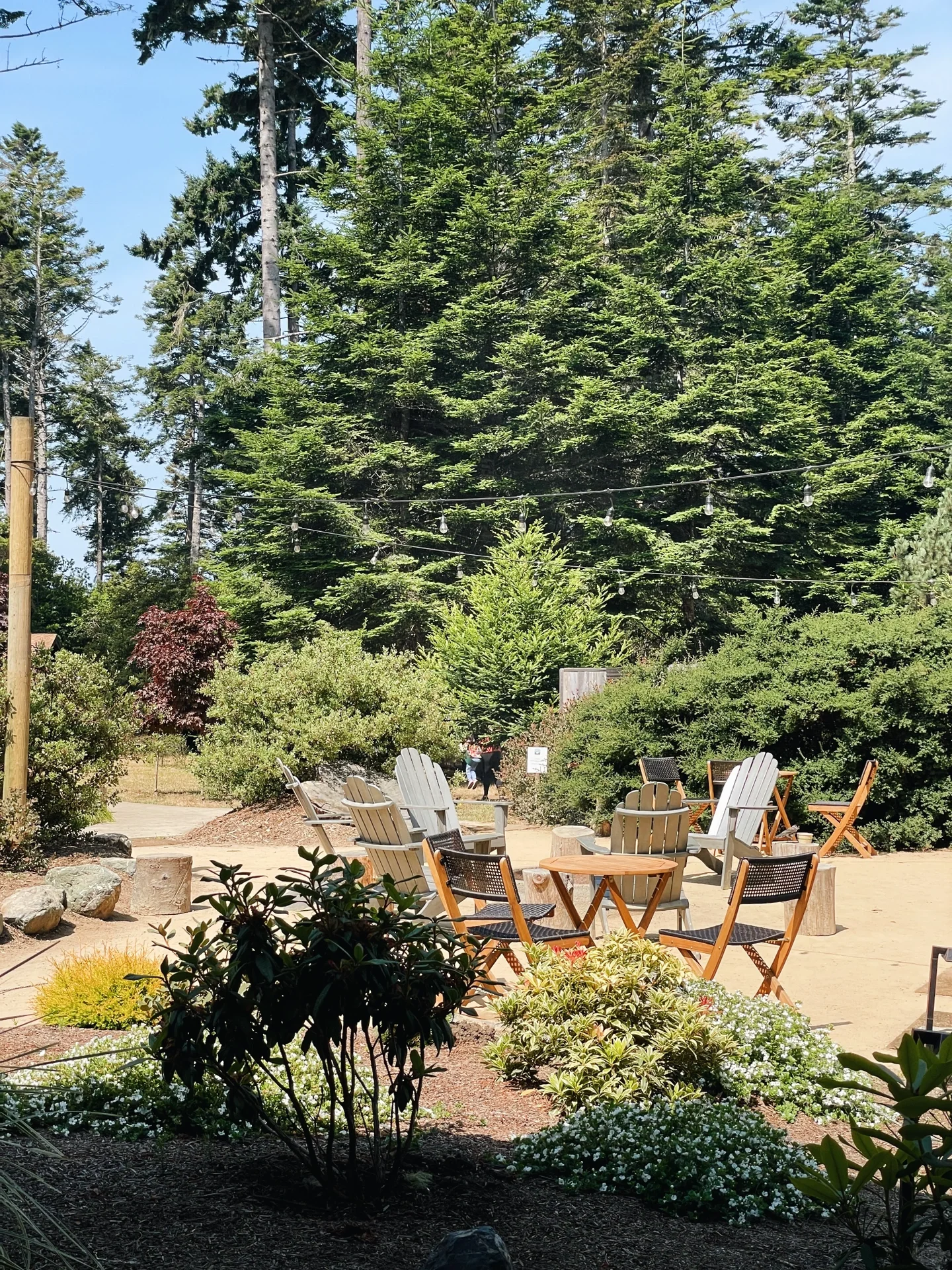 North California | Relax for Three Days in a Luxurious Forest Coast Camping 🏕️