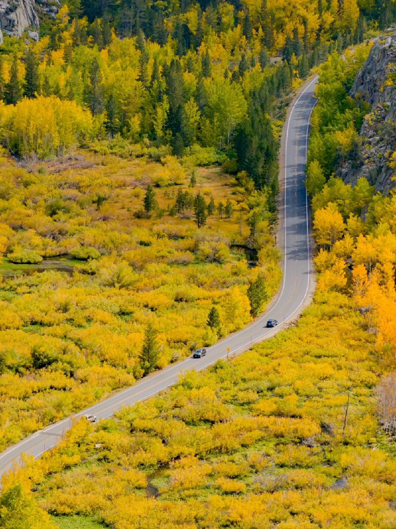 Pure Dry Goods! California Treasure Highway 395 Autumn Appreciation Guide 🍁