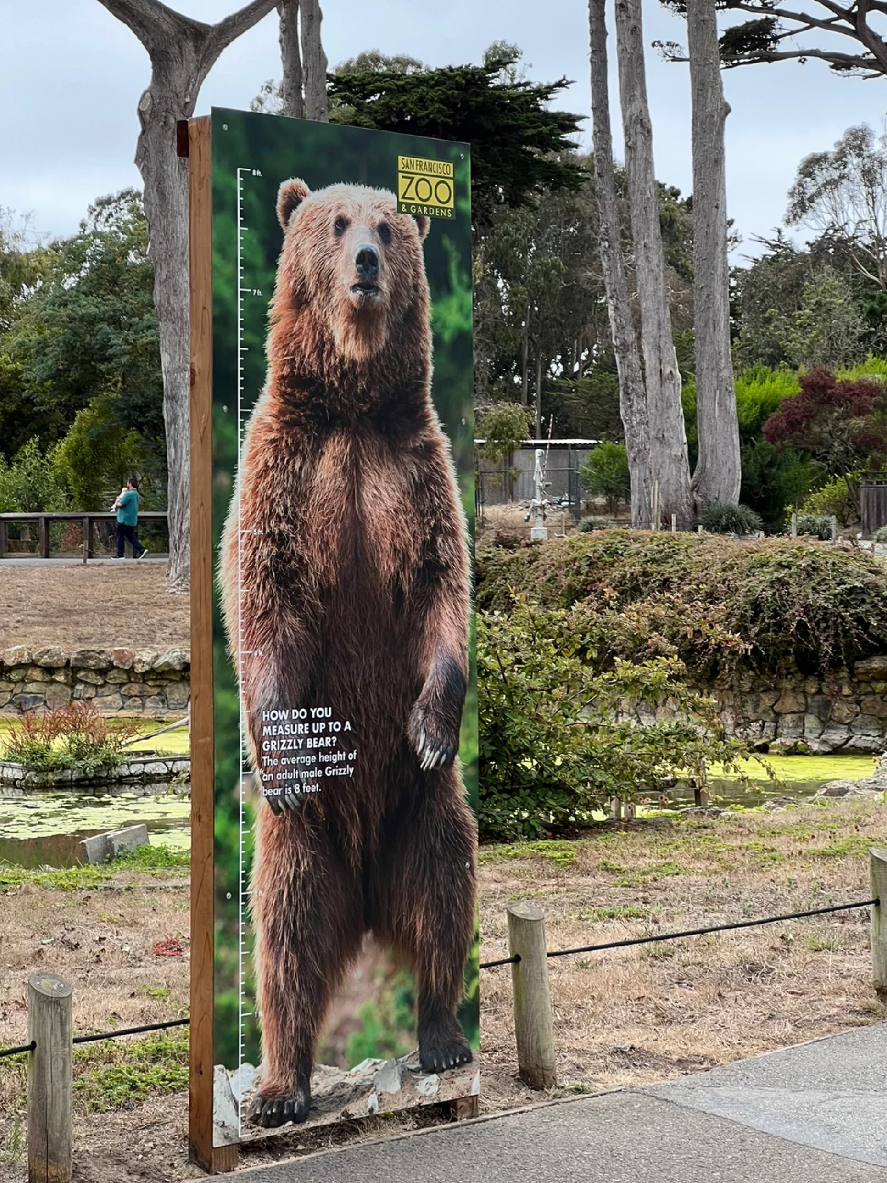 Why does the California state flag have a bear 🐻 in San Francisco? Pixar panda 🐼!